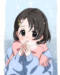 Rule 34 | black eyes, blue sweater, blush, breath, dot nose, hair ornament, hairpin, idolmaster, idolmaster cinderella girls, idolmaster cinderella girls u149, long sleeves, looking back, medium hair, megabee e, open mouth, outdoors, own hands together, pink scarf, sasaki chie, scarf, sleeves past wrists, smile, snow, sweater, upper body