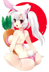 Rule 34 | 1girl, animal ears, ass, bikini, breasts, carrot, from behind, large breasts, looking back, open mouth, rabbit ears, rabbit tail, red eyes, shiny skin, side-tie bikini bottom, skindentation, smile, solo, swimsuit, tail, thong bikini, twintails, white hair, yukian