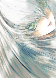 Rule 34 | 1girl, big hair, commentary request, eye focus, eyelashes, green eyes, grey hair, hair over one eye, kemono friends, light smile, lips, looking at viewer, parted lips, ringed eyes, shoebill (kemono friends), solo, stealstitaniums