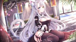 Rule 34 | 1girl, animal ear fluff, animal ears, black dress, black thighhighs, blue eyes, blush, breasts, cat ears, cat girl, cat tail, cleavage, copyright request, dress, gloves, grey hair, heterochromia, highres, large breasts, long hair, long sleeves, looking at viewer, manman manyou haiyang de paomo, parted lips, sitting, solo, tail, thighhighs, thighs, wariza, white gloves, yellow eyes