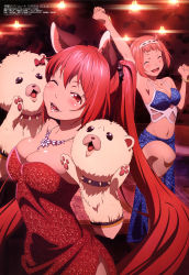 Rule 34 | 10s, 2girls, absurdres, animal ears, arm up, armpits, bare shoulders, blunt bangs, blush, bow, breasts, cerberus (shingeki no bahamut), cleavage, closed eyes, collarbone, dog ears, dress, hairband, hand puppet, highres, irisato nio, jewelry, lips, long hair, looking at viewer, medium breasts, megami magazine, midriff, multiple girls, necklace, nina dragnot, official art, one eye closed, open mouth, pink hair, puppet, red bow, red dress, red eyes, red hair, scan, shingeki no bahamut, shingeki no bahamut: genesis, shingeki no bahamut: virgin soul, short hair, skirt, smile, teeth, twintails, very long hair