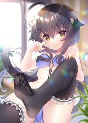 Rule 34 | 1girl, :q, ahoge, animal ear fluff, animal ears, bare shoulders, black hair, black thighhighs, bra, breasts, cat ears, cat girl, cat tail, character request, commentary request, copyright request, feet, feet up, fingernails, foot focus, frilled thighhighs, frills, hair between eyes, hand on own knee, hand up, highres, indoors, ko yu, leg up, legs, long hair, looking at viewer, medium breasts, panties, plant, purple bra, purple panties, sidelocks, soles, solo, tail, thighhighs, toes, tongue, tongue out, underwear, yellow eyes