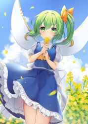 Rule 34 | 1girl, blue skirt, blue vest, blush, closed mouth, cloud, cloudy sky, collared shirt, cowboy shot, daiyousei, day, fairy, fairy wings, flower, green eyes, green hair, highres, holding, holding flower, long hair, looking at viewer, outdoors, petticoat, puffy short sleeves, puffy sleeves, ruhika, shirt, short sleeves, side ponytail, skirt, sky, smile, solo, touhou, vest, white shirt, wings, yellow flower