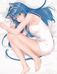 Rule 34 | 1girl, animal ears, bad id, bad twitter id, bare shoulders, bed, blue eyes, blue hair, blush, camisole, cat ears, cat girl, cat tail, fire emblem, fire emblem awakening, fire emblem heroes, hair ornament, highres, long hair, looking at viewer, lucina (fire emblem), niko (aiai03012), nintendo, simple background, solo, tail, tiara, twitter username