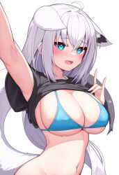 Rule 34 | 1girl, absurdres, ahoge, alternate breast size, alternate costume, animal ear fluff, animal ears, bikini, bikini top only, blush, braid, breasts, deaver, fang, fox ears, fox girl, fox tail, green eyes, hair between eyes, highres, hololive, large breasts, long hair, looking at viewer, navel, open mouth, shirakami fubuki, sideboob, sidelocks, single braid, skin fang, solo, stomach, swimsuit, swimsuit under clothes, tail, underboob, virtual youtuber, wet, white background, white hair