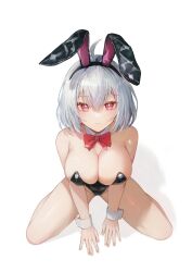 Rule 34 | 1girl, absurdres, animal ears, between legs, black leotard, bow, bowtie, breasts, bright pupils, character request, cleavage, closed mouth, commentary, commission, copyright request, detached collar, fake animal ears, flippy (cripine111), grey hair, hand between legs, highres, large breasts, leotard, looking at viewer, playboy bunny, rabbit ears, red bow, red bowtie, red eyes, short hair, simple background, sitting, solo, strapless, strapless leotard, white background, white pupils, white wrist cuffs, wrist cuffs