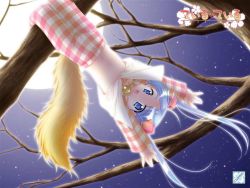 Rule 34 | 1girl, blue eyes, blue hair, child, female focus, game cg, in tree, jpeg artifacts, long hair, louis&amp;visee, matching hair/eyes, moon, night, non-web source, pajamas, plaid, sky, solo, tail, tail tale, tamae, tree, twintails, upside-down, wallpaper