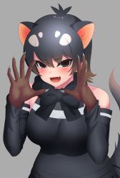 Rule 34 | 1girl, :d, absurdres, bare shoulders, black bow, black bowtie, black eyes, black hair, blush, bow, bowtie, breasts, brown gloves, brown hair, claw pose, claws, commentary request, deku suke, detached sleeves, extra ears, fang, gloves, gradient hair, grey background, hair between eyes, highres, kemono friends, large breasts, looking at viewer, multicolored hair, open mouth, short hair, simple background, skin fang, smile, solo, tasmanian devil (kemono friends), tasmanian devil ears, tasmanian devil tail, upper body