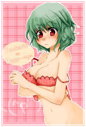 Rule 34 | 1girl, ^ ^, ^q^, blush, bottomless, bra, breasts, cleavage, female focus, frown, green hair, groin, kazami yuuka, large breasts, lingerie, mimiumu, navel, off shoulder, pink background, plaid, plaid background, plaid bra, red bra, red eyes, short hair, solo, strap slip, touhou, underwear, upper body