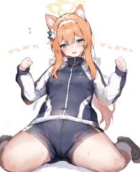 Rule 34 | 1girl, absurdres, animal ears, blue archive, blush, breasts, clenched hands, commentary request, flying sweatdrops, fox ears, halo, headband, highres, inusaka, jacket, looking at viewer, mari (blue archive), mari (track) (blue archive), orange hair, shorts, sidelocks, simon (ttgl), sitting, small breasts, solo, sweatdrop, track jacket, wariza, white background, white headband