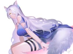 Rule 34 | 1girl, animal ear fluff, animal ears, arknights, bare shoulders, black shorts, blue nails, breasts, closed mouth, commentary request, feet out of frame, from side, grey hair, hair over one eye, long hair, looking at viewer, looking to the side, medium breasts, nail polish, santalla (arknights), shorts, simple background, sitting, smile, solo, tail, very long hair, white background, yunnasu