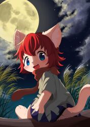 Rule 34 | 1girl, absurdres, animal ears, animal nose, backlighting, blue eyes, body fur, cat ears, cat girl, cat tail, cloud, dress, from behind, full moon, furry, furry female, grey dress, highres, looking at viewer, looking back, moon, neckerchief, night, open mouth, original, outdoors, red hair, red neckerchief, short sleeves, sitting, solo, star (sky), tail, tareme, thematy