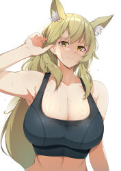 Rule 34 | 1girl, animal ear fluff, animal ears, arknights, arm up, black bra, bra, breasts, brown hair, cleavage, closed mouth, collarbone, commentary, hand in own hair, highres, horse ears, huge breasts, long hair, looking at viewer, nearl (arknights), simple background, smile, solo, sports bra, sweat, symbol-only commentary, underwear, upper body, white background, xllam, yellow eyes