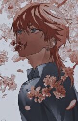 Rule 34 | 1boy, black shirt, blue eyes, cherry blossoms, close-up, ear piercing, looking to the side, looking up, male focus, non-web source, piercing, pink hair, sanzu haruchiyo, scar, scar on face, shirt, tokyo revengers, wolf cut
