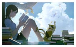 Rule 34 | 1girl, absurdres, ahoge, barefoot, black hair, black shorts, blue sky, book, book stack, border, bug, butterfly, calico, cat, cloud, commentary, creature, dragon, fish, from side, full body, glasses, highres, holding, holding book, insect, knees up, medium hair, multiple tails, oekaki taro, open book, original, parted lips, profile, reading, shirt, short sleeves, shorts, sitting, sky, solo, sweatdrop, tail, two tails, white border, white shirt, wind chime, window
