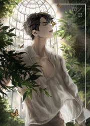 Rule 34 | 1boy, birthday, black hair, blackbox (blackbox9158), bug, bush, butterfly, butterfly on nose, closed eyes, collarbone, dated, highres, insect, leaf, light particles, light rays, looking away, looking up, male focus, omniscient reader&#039;s viewpoint, parted lips, shirt, short hair, sunbeam, sunlight, unbuttoned, unbuttoned shirt, vegetation, white shirt, window, yellow butterfly, yoo joonghyuk