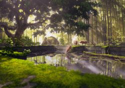 Rule 34 | animal, blurry, blurry foreground, boar, commentary request, day, depth of field, forest, log, mocha (cotton), moss, nature, no humans, original, outdoors, reflection, ruins, scenery, signature, tree, water