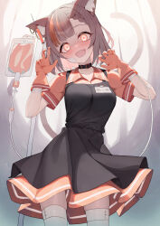 Rule 34 | 1girl, :d, animal ear fluff, animal ears, apron, bandaged arm, bandages, black apron, black collar, blush, breasts, brown hair, cat ears, cat girl, cat tail, collar, collarbone, collared shirt, commentary request, commission, copyright request, gloves, hands up, head tilt, highres, holding, holding syringe, intravenous drip, medium breasts, multicolored hair, nogami (minamiituki), open mouth, orange eyes, orange gloves, orange hair, orange shirt, orange skirt, pleated skirt, shirt, short sleeves, skeb commission, skirt, smile, solo, streaked hair, syringe, tail, thighhighs, white thighhighs