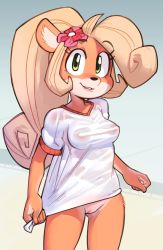Rule 34 | 1girl, ahoge, aliasing, animal ears, blonde hair, blush, body fur, bottomless, breasts, cleft of venus, clenched hands, coco bandicoot, cowboy shot, crash bandicoot (series), female focus, flower, flower on head, furry, furry female, gluteal fold, gradient background, green eyes, grey background, hair flower, hair ornament, happy, heart, highres, huge ahoge, light blush, long hair, looking at viewer, medium breasts, naked shirt, navel, nipples, no bra, no humans, parted lips, pink flower, ponytail, pussy, revision, see-through, shirt, shirt tug, short sleeves, simple background, smile, solo, standing, teeth, third-party edit, uncensored, underwear, wamudraws, wet, wet clothes, wet shirt, white shirt