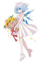 Rule 34 | 1girl, absurdres, alternate costume, blue eyes, blue hair, bow, breasts, cirno, closed mouth, commentary request, dress, flower, flower ornament, hair bow, highres, holding, holding flower, ice, looking at viewer, petals, sandals, shocho (shaojiujiu), short hair, shoulder strap, small breasts, solo, sunflower, touhou, white background, white bow, white dress, wings