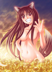 Rule 34 | 00s, animal ears, highres, holo, nude, nukunuku (hinataboltuko), solo, spice and wolf, tail, wolf ears, wolf tail