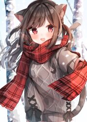 Rule 34 | 1girl, :d, animal ear fluff, animal ears, blush, brown hair, cat ears, cat tail, floating hair, heripiro, highres, holding, holding clothes, holding scarf, long hair, long sleeves, looking at viewer, open mouth, original, outstretched arm, plaid, plaid scarf, red eyes, scarf, smile, solo, standing, sweater, tail, tree, two side up