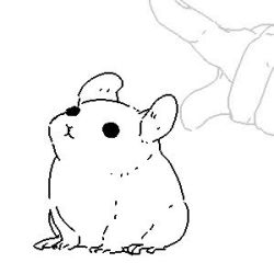 Rule 34 | animal focus, animated, blinking, disembodied hand, full body, greyscale, hamster, looping animation, lowres, monochrome, original, oyama yoihaya, poking, simple background, sitting, sketch, solo focus, video, white background