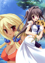 Rule 34 | 2girls, :d, absurdres, ahoge, arm up, bare shoulders, black hair, blonde hair, blush, bouquet, bow, bracelet, breasts, brown hair, cleavage, cleavage cutout, clothing cutout, cloud, crop top, dark-skinned female, dark skin, day, dress, flower, hair between eyes, hair intakes, highres, impossible clothes, impossible dress, jewelry, kaya (natsu yume nagisa), kozakura ryou, lace, large breasts, long hair, looking at viewer, looking back, midriff, multiple girls, nanase ayumu, natsu yume nagisa, natsu yume nagisa ~nostalgie~, ocean, official art, open mouth, outdoors, profile, purple eyes, red eyes, ribbon, scan, scrunchie, sidelocks, sky, smile, standing, strap slip, sundress, sunflower, tree, twintails, two side up, upper body, water, wrist ribbon