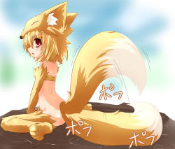 Rule 34 | 1girl, afterimage, animal feet, animal hands, blonde hair, bottomless, commentary request, fox girl, fox hat, fox tail, full body, halterneck, kazami karasu, looking at viewer, moonlight flower, open mouth, ragnarok online, red eyes, short hair, sitting, solo, tail, tail wagging, wariza
