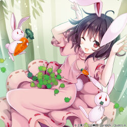 Rule 34 | album cover, animal ears, arms up, bamboo, bamboo forest, black hair, carrot, carrot necklace, check commentary, clover, commentary, commentary request, cover, dress, floppy ears, forest, four-leaf clover, frilled sleeves, frills, givuchoko, inaba tewi, jewelry, long dress, nature, necklace, official art, one eye closed, open mouth, paw pose, pink dress, puffy short sleeves, puffy sleeves, rabbit, rabbit ears, rabbit girl, rabbit tail, red eyes, ribbon-trimmed dress, short hair, short sleeves, smile, tail, touhou, touhou cannonball, wavy hair