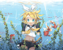 Rule 34 | 1girl, album cover, aqua eyes, blonde hair, bubble, cover, detached sleeves, fish, fred04142, hair ribbon, kagamine rin, long sleeves, looking at viewer, midriff, navel, neckerchief, open mouth, ribbon, shirt, shorts, solo, underwater, vocaloid, wide sleeves
