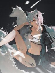 Rule 34 | 1girl, animal ears, arknights, bandeau, bare legs, black background, black jacket, black shorts, commentary request, grey eyes, grey hair, hair between eyes, haita (yalan527), highres, jacket, knee up, lappland (arknights), long hair, looking at viewer, material growth, midriff, navel, open clothes, open jacket, oripathy lesion (arknights), scar, scar across eye, short shorts, shorts, sitting, smile, solo, stomach, strapless, thighs, tube top, wolf, wolf ears