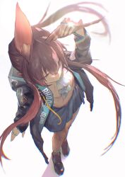 Rule 34 | 1girl, absurdres, amiya (arknights), animal ears, anklet, arknights, ascot, black footwear, black jacket, blue ascot, blue eyes, blue skirt, brown hair, extra ears, from above, hair between eyes, hand up, highres, hood, hooded jacket, jacket, jewelry, long hair, long sleeves, multiple rings, neg (101neg), open clothes, open jacket, pleated skirt, rabbit ears, rabbit girl, ring, shirt, shoes, simple background, skirt, solo, standing, white background, white shirt