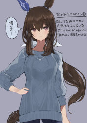 Rule 34 | 1girl, admire vega (umamusume), animal ears, aran sweater, blue pants, blue sweater, blush, brown hair, cable knit, commentary request, grey background, hair between eyes, hand on own hip, highres, hinomaru (futagun), horse ears, horse girl, horse tail, long hair, long sleeves, looking at viewer, low ponytail, nail polish, pants, parted lips, ponytail, purple eyes, red nails, simple background, solo, sweat, sweater, tail, translation request, umamusume, very long hair