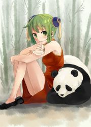 Rule 34 | 1girl, bamboo, bamboo forest, bread, china dress, chinese clothes, dress, food, forest, green eyes, green hair, gumi, hugging own legs, kuronyanko, nature, on ground, panda, short hair, sitting, sleeveless, vocaloid, yi er fan club (vocaloid)