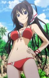 Rule 34 | 1girl, absurdres, bikini, blue eyes, breasts, brown hair, cleavage, hair ribbon, hand on own hip, highres, infinite stratos, large breasts, legs, long hair, ponytail, red bikini, ribbon, shinonono houki, smile, solo, stitched, swimsuit, thighs, third-party edit