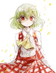 Rule 34 | 1girl, ascot, closed mouth, collared shirt, commentary request, flower, flower in eye, frills, green hair, hair between eyes, highres, kazami yuuka, light, long sleeves, looking at viewer, open clothes, open vest, petals, plaid, plaid skirt, plaid vest, red eyes, red flower, red skirt, red vest, shirt, short hair, simple background, skirt, solo, standing, symbol in eye, tama (hiroshige 36), touhou, vest, white background, white shirt, yellow ascot