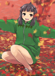 Rule 34 | 1girl, :d, autumn, autumn leaves, bare legs, blunt bangs, falling leaves, full body, hood, hoodie, jacket, leaf, legs, long sleeves, looking at viewer, no pants, open mouth, original, sanae (satansanae), shoes, smile, solo, squatting, sweater