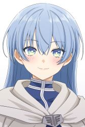 Rule 34 | 1girl, 8-sun, blue eyes, blue hair, blush, capelet, closed mouth, commentary request, crossed bangs, genderswap, genderswap (mtf), highres, himmel (sousou no frieren), long hair, looking at viewer, portrait, simple background, smile, solo, sousou no frieren, white background, white capelet