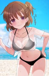 Rule 34 | 1girl, :3, akasaka miyuki, beach, bikini, black bikini, blue sky, blush, breasts, brown hair, cleavage, closed mouth, collarbone, commentary request, cowboy shot, day, gluteal fold, hair between eyes, halterneck, hand on own hip, hand up, highres, higurashi no naku koro ni, higurashi no naku koro ni mei, hood, hood up, large breasts, leaning forward, looking at viewer, medium hair, navel, one side up, outdoors, purple eyes, see-through clothes, see-through shirt, shirt, short sleeves, sky, smile, solo, sweat, swimsuit, translated, white shirt, yuno ff