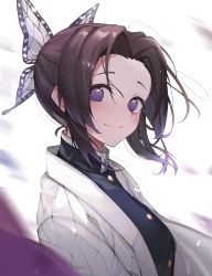Rule 34 | 1girl, black hair, black jacket, butterfly hair ornament, closed mouth, eyes visible through hair, gradient hair, hair ornament, haori, highres, jacket, japanese clothes, kimetsu no yaiba, kochou shinobu, looking at viewer, lunia, multicolored hair, parted bangs, purple eyes, purple hair, short hair, simple background, smile, solo, two-tone hair, upper body, white background