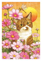 Rule 34 | animal, animal focus, border, bug, cat, dragonfly, flower, insect, looking at viewer, no humans, original, pink flower, signature, sun, takigraphic, white border