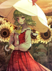 Rule 34 | 1girl, bad id, bad twitter id, breasts, cloud, cowboy shot, field, flower, flower field, garden of the sun, green hair, holding, holding umbrella, kazami yuuka, long sleeves, looking at viewer, medium breasts, open mouth, outdoors, plaid, plaid skirt, plaid vest, red eyes, red skirt, red vest, shirt, skirt, smile, solo, sunflower, sunflower field, syuri22, touhou, umbrella, vest, white shirt, white umbrella, yellow neckwear