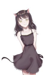 Rule 34 | 1girl, absurdres, animal ears, arms behind back, artist request, bare shoulders, black hair, blake belladonna, cat ears, cat girl, collarbone, cowboy shot, dress, female focus, highres, leaning to the side, looking at viewer, medium hair, ribbon, rwby, simple background, smile, solo, standing, tagme, white background, yellow eyes