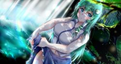 Rule 34 | 1girl, :o, bare shoulders, blue skirt, blush, breasts, collarbone, collared shirt, commentary request, day, eyelashes, frilled skirt, frills, frog, frog hair ornament, grass, green eyes, green hair, hair between eyes, hair ornament, hair tubes, highres, kochiya sanae, large breasts, len (hand linke), long hair, long skirt, looking at viewer, medium breasts, moss, open mouth, outdoors, partially submerged, plant, shirt, sidelocks, skirt, sleeveless, sleeveless shirt, snake, snake hair ornament, solo, touhou, tree, water, wet, wet clothes, wet shirt, wet skirt, white shirt