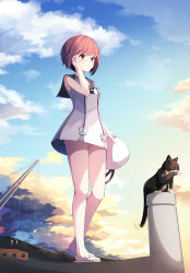 Rule 34 | 1girl, alternate costume, brown eyes, brown hair, cat, commentary request, day, dress, full body, hat, highres, holding, holding clothes, holding hat, kagami (galgamesion), kantai collection, outdoors, panties, pantyshot, pink panties, playing with own hair, revision, sailor collar, sailor dress, sailor hat, sandals, short dress, short hair, sky, sleeveless, sleeveless dress, solo, standing, underwear, unsinkable sam, unworn hat, unworn headwear, upskirt, white dress, white hat, z3 max schultz (kancolle)