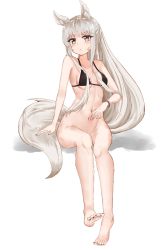 Rule 34 | 1girl, aliasing, animal ears, arknights, bare legs, barefoot, black bra, black nails, bottomless, bra, bracelet, breasts, cleavage, full body, heart, heart tattoo, horse ears, horse girl, jewelry, jpeg artifacts, jsscj, long hair, looking at viewer, medium breasts, nail polish, navel, no panties, platinum (arknights), pubic tattoo, sideboob, silver hair, simple background, sitting, solo, tattoo, thick eyebrows, toenail polish, toenails, underboob, underwear, underwear only, white background, yellow eyes