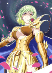 Rule 34 | 1girl, armor, breasts, cape, cleavage cutout, clothing cutout, cosplay, female focus, flower, full armor, gold armor, green hair, h-new, highres, kazami yuuka, mouth hold, petals, pisces aphrodite, pisces aphrodite (cosplay), rose, saint seiya, short hair, solo, touhou, yellow eyes
