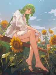 1other absurdres aldaduzuoaoda androgynous barefoot blue_sky cloud day enkidu_(fate) fate/grand_order fate_(series) flower full_body green_eyes green_hair hair_between_eyes highres long_hair looking_at_viewer other_focus outdoors robe sitting sitting_on_fence sky smile solo sunflower very_long_hair white_robe