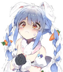 Rule 34 | 1girl, :c, animal ears, black gloves, blue hair, bow, braid, carrot hair ornament, commentary, crying, detached sleeves, don-chan (usada pekora), ememo, english commentary, floppy ears, food-themed hair ornament, fur-trimmed gloves, fur trim, gloves, hair bow, hair ornament, hands up, highres, hololive, long hair, multicolored hair, orange eyes, own hands together, puffy short sleeves, puffy sleeves, rabbit ears, scarf, short sleeves, simple background, solo, tears, trembling, twin braids, two-tone hair, upper body, usada pekora, usada pekora (1st costume), virtual youtuber, white background, white bow, white scarf